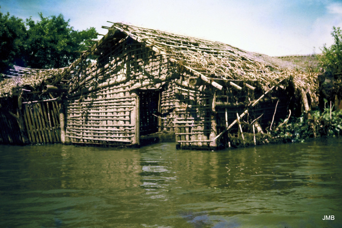AÑO 1979 - COLOR - VIDA CAMPESINA EN PARAGUAY (JOSÉ MARÍA BLANCH)